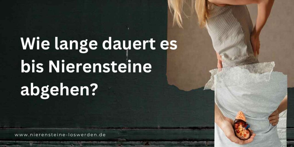 Wie Lange Dauert Es Bis Eine Leiche Verwest nierensteine-loswerden.de